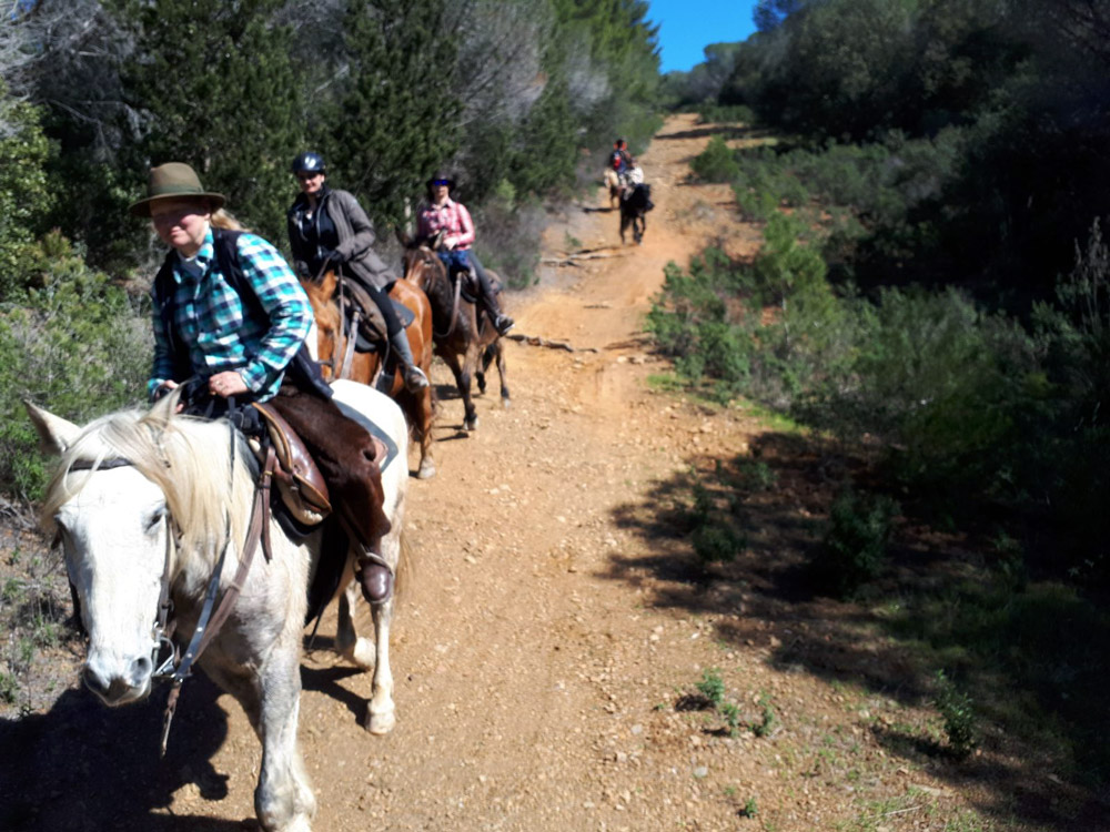 Horse promenades- Maremma Sans Souci