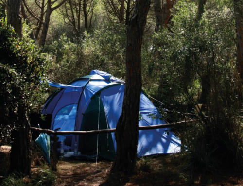 Vacances et weekend en tente au Sans Souci