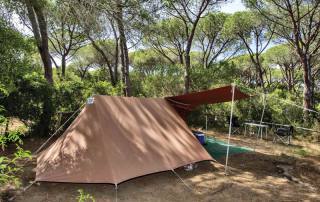 Camping Pitches