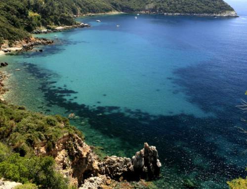 The Maremma Regional Park