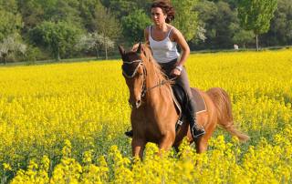 Tours en vélo dans la côte toscane