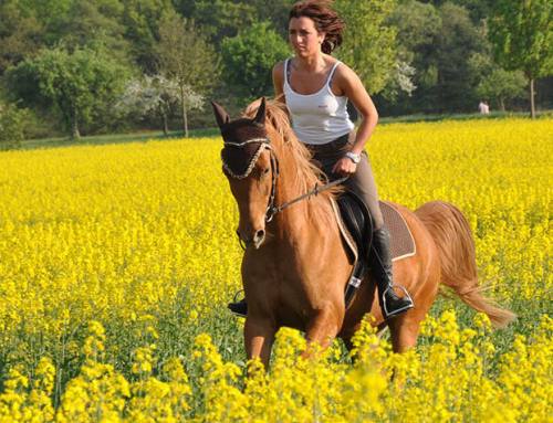 Equitazione e passeggiate a cavallo in Maremma