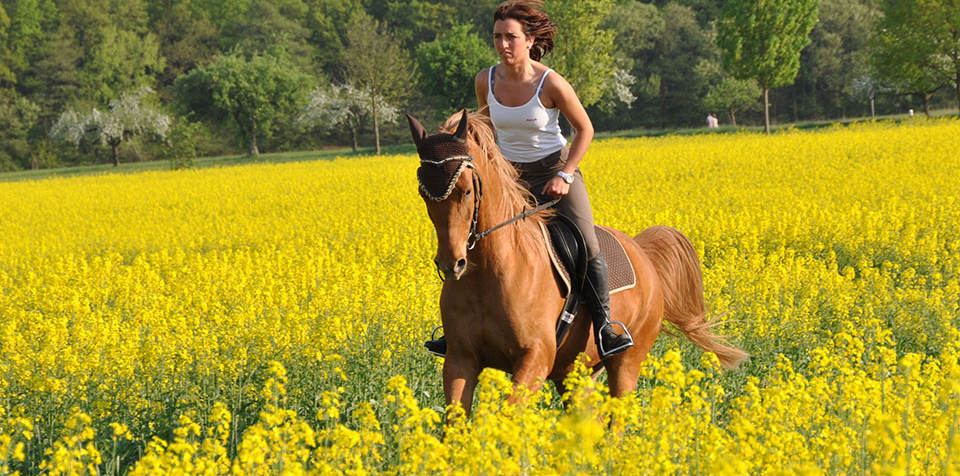 Horseback riding in Maremma