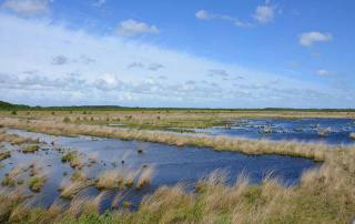 Die Natur der Maremma