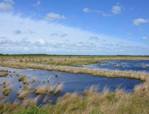 Discover nature in Maremma