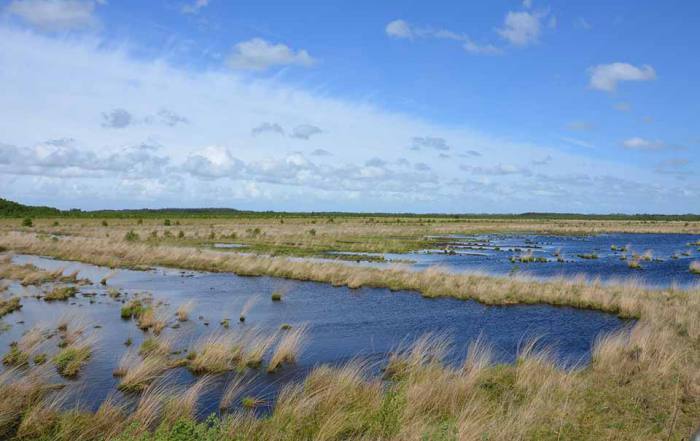 Ontdek van de natuur van de Maremma