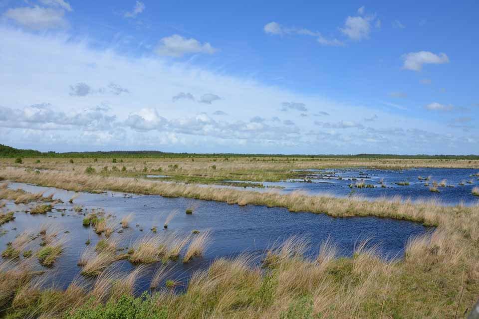 Die Natur der Maremma