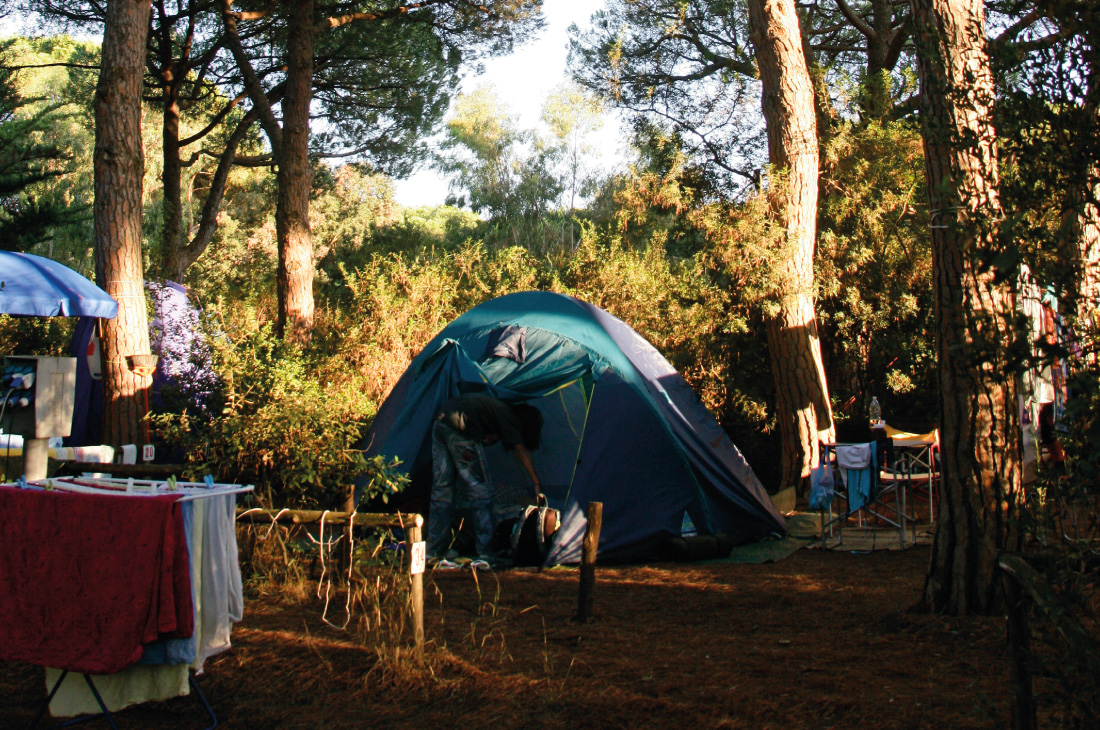 Activités immergés dans la nature