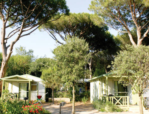 Campingplatz am Meer mit Cottages in der Toskana