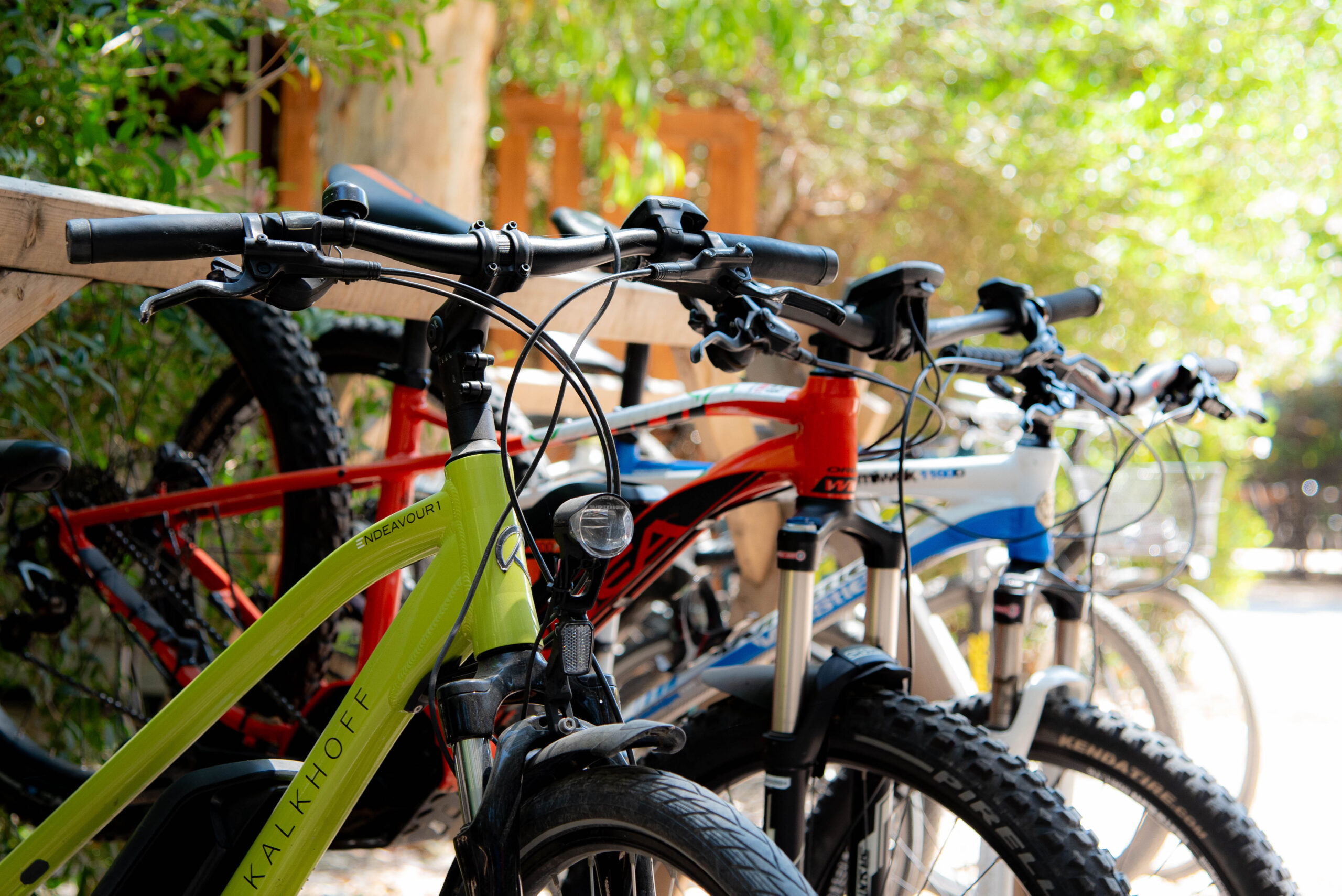 BICI BAGNOLI